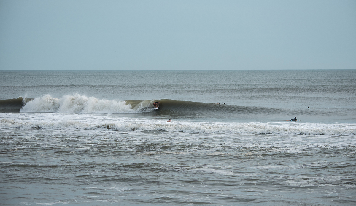 Photo: Andreea Waters