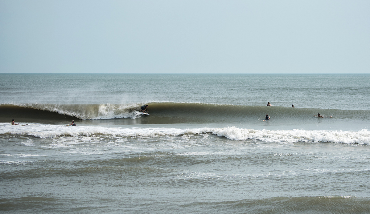 Photo: Andreea Waters