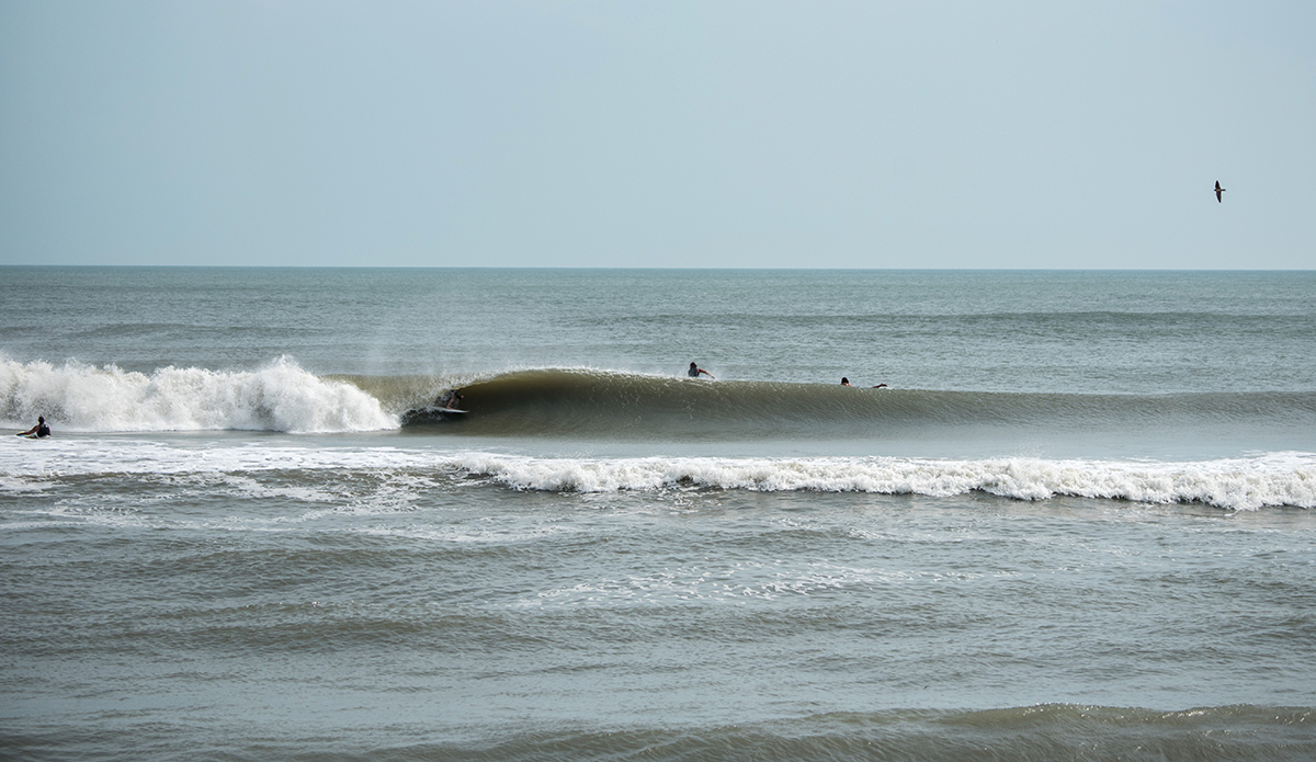 Photo: Andreea Waters