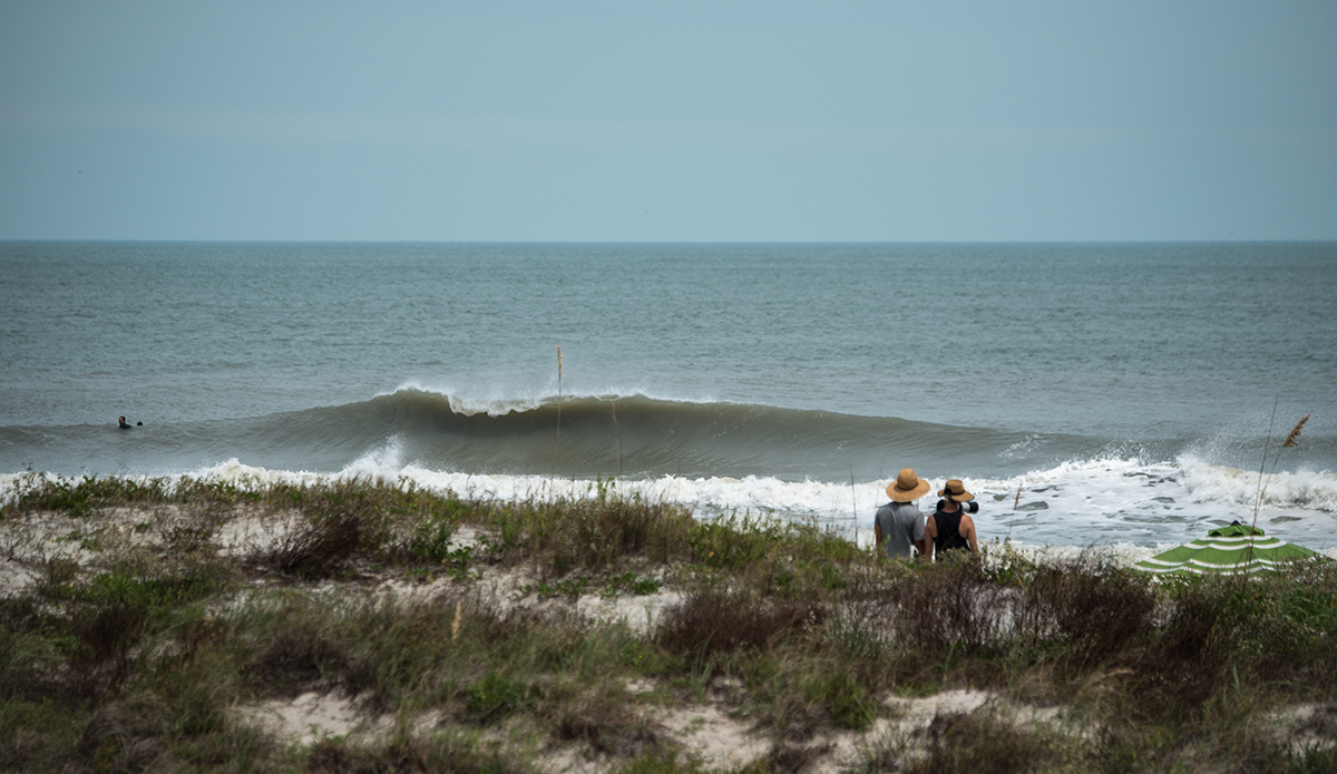 Photo: Andreea Waters