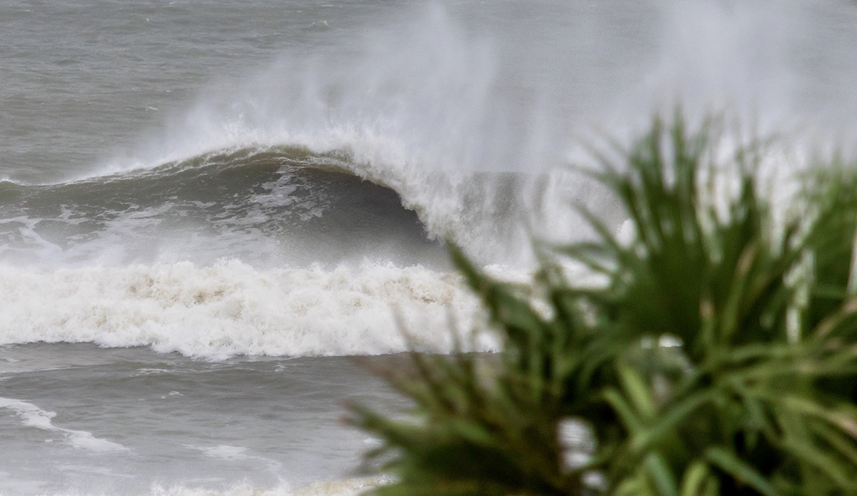 New Smyrna Beach, Fl. Photo: Grant Hesse