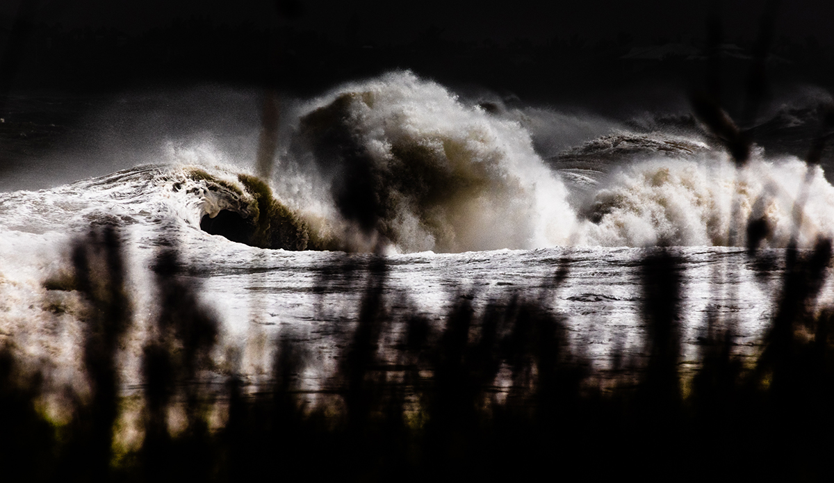 Treasure Coast. Photo: Nate Harrington