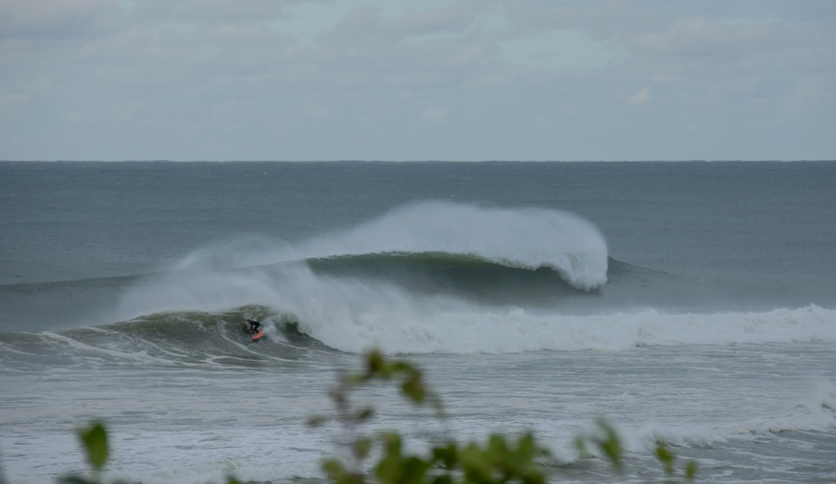 Long Island, NY. Photo: Erik Schwab