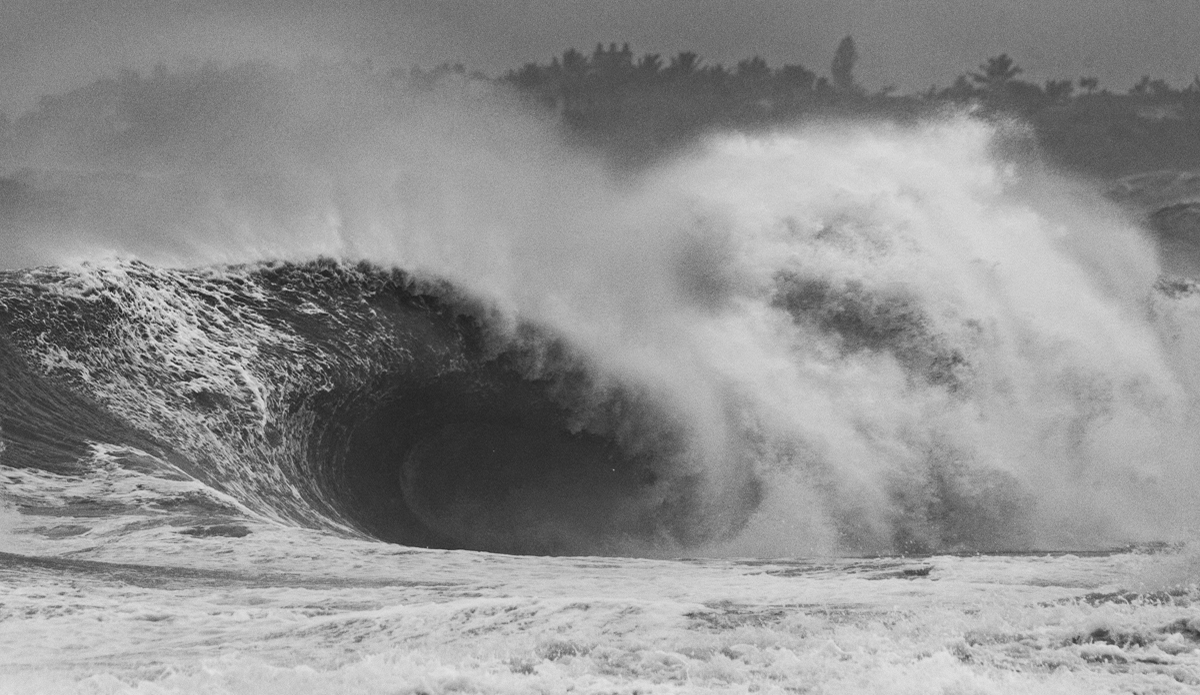 Treasure Coast. Photo: Nate Harrington