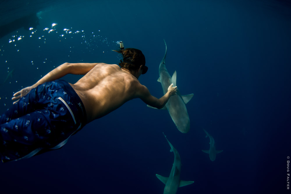 <a href=\"https://www.dougfalterphotography.com/#!/index\">Doug Falter Photography</a>