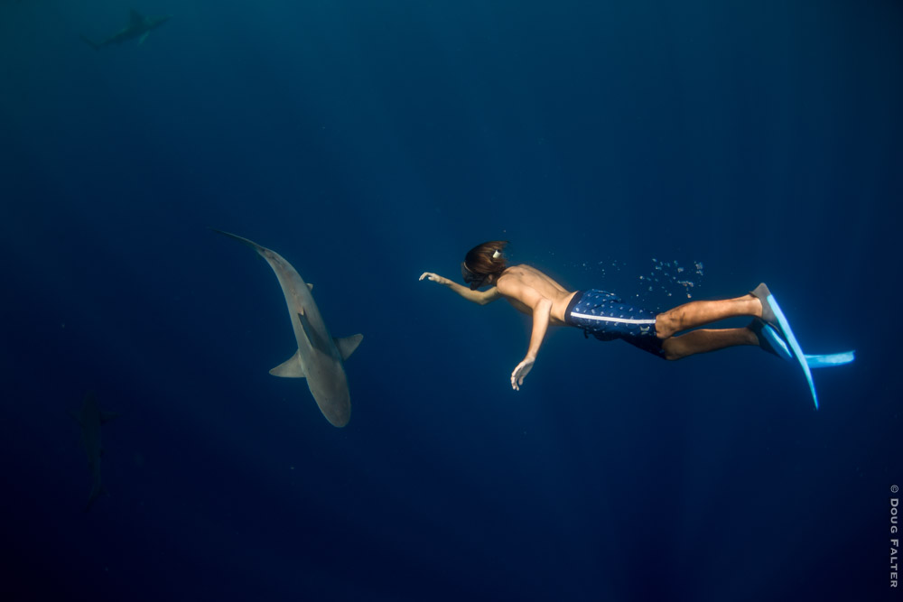 <a href=\"https://www.dougfalterphotography.com/#!/index\">Doug Falter Photography</a>