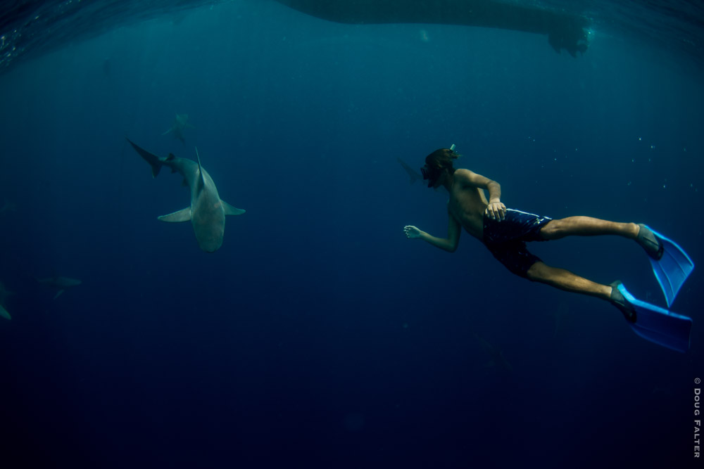 <a href=\"https://www.dougfalterphotography.com/#!/index\">Doug Falter Photography</a>