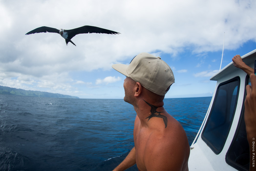 <a href=\"https://www.dougfalterphotography.com/#!/index\">Doug Falter Photography</a>