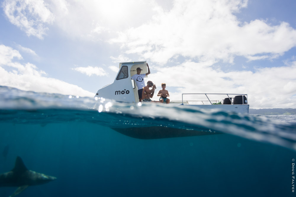 <a href=\"https://www.dougfalterphotography.com/#!/index\">Doug Falter Photography</a>