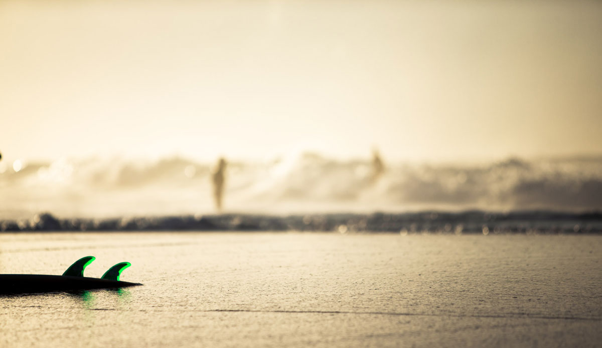 Photo: <a href=\"https://www.dougfalterphotography.com/\"> Doug Falter</a>