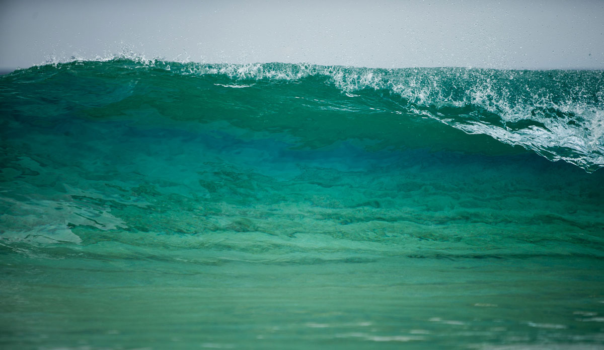 Photo: <a href=\"https://www.dougfalterphotography.com/\"> Doug Falter</a>