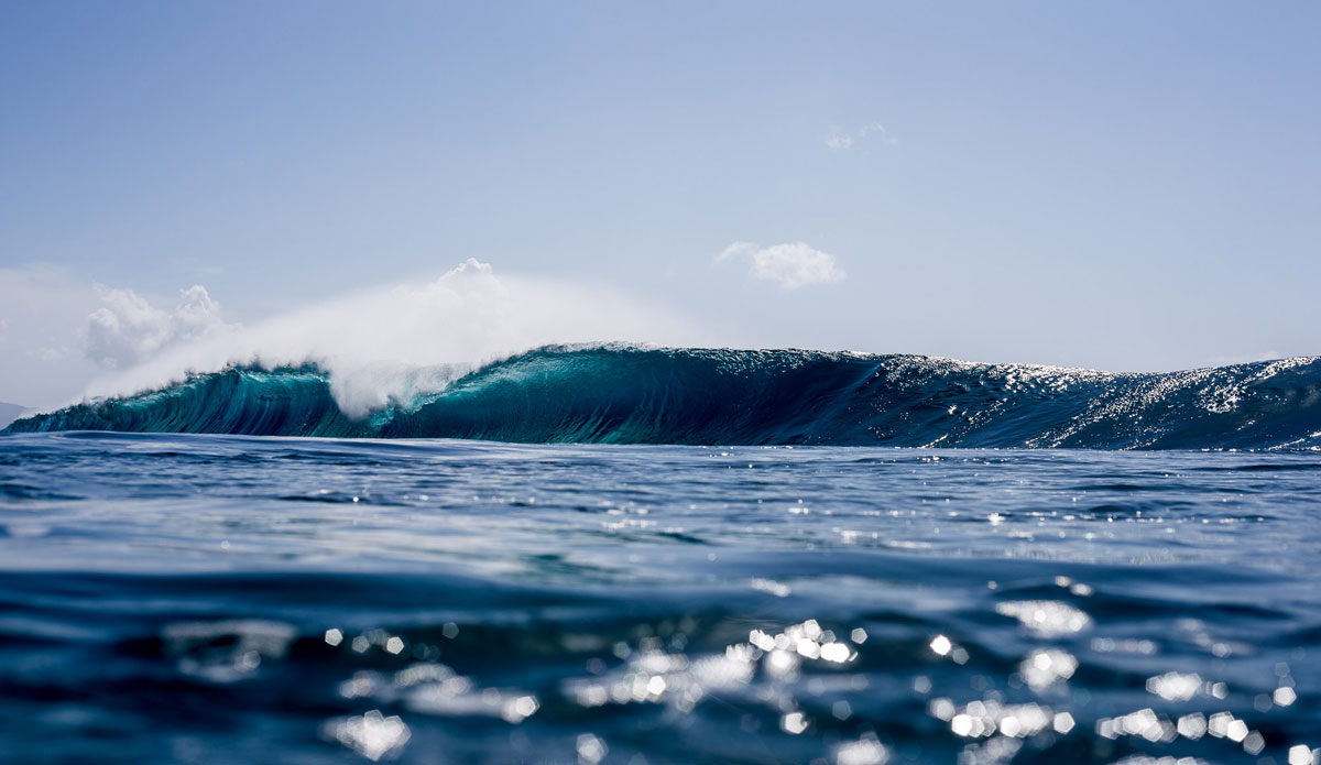 Photo: <a href=\"https://www.dougfalterphotography.com/\"> Doug Falter</a>