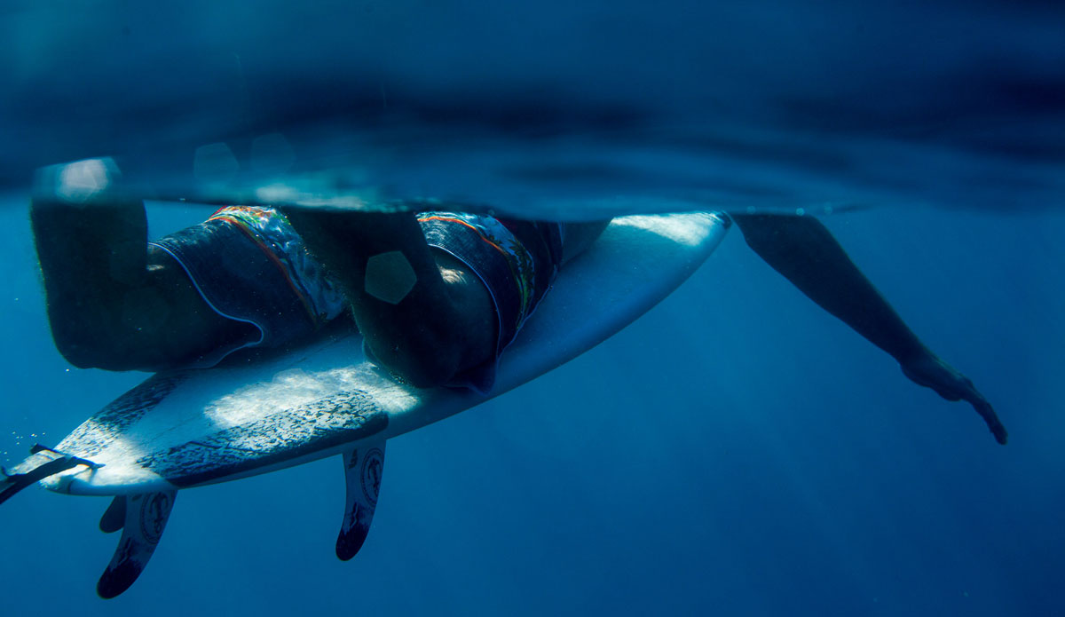 Photo: <a href=\"https://www.dougfalterphotography.com/\"> Doug Falter</a>