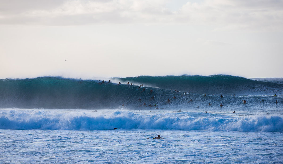 Photo: <a href=\"https://www.dougfalterphotography.com/\"> Doug Falter</a>