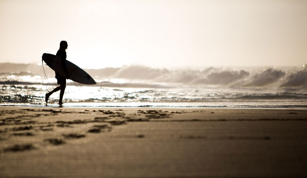 Photo: <a href=\"https://www.dougfalterphotography.com/\"> Doug Falter</a>