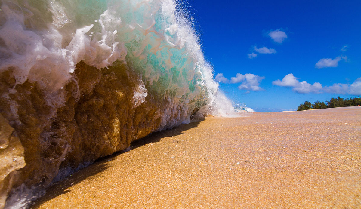 Photo: <a href=\"https://www.dougfalterphotography.com/\"> Doug Falter</a>