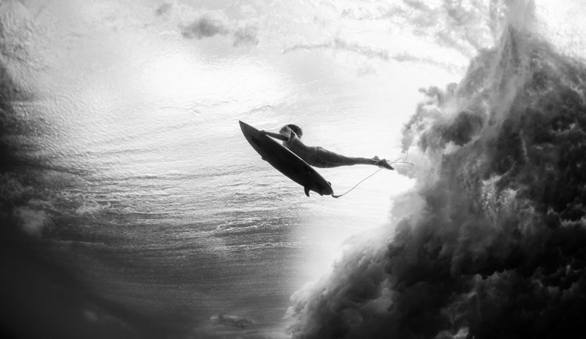 Photo: <a href=\"https://www.dougfalterphotography.com/\"> Doug Falter</a>