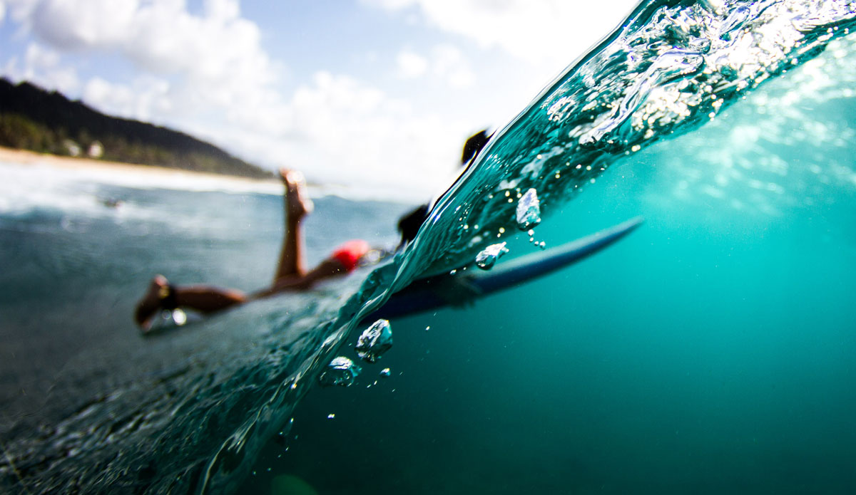 Photo: <a href=\"https://www.dougfalterphotography.com/\"> Doug Falter</a>