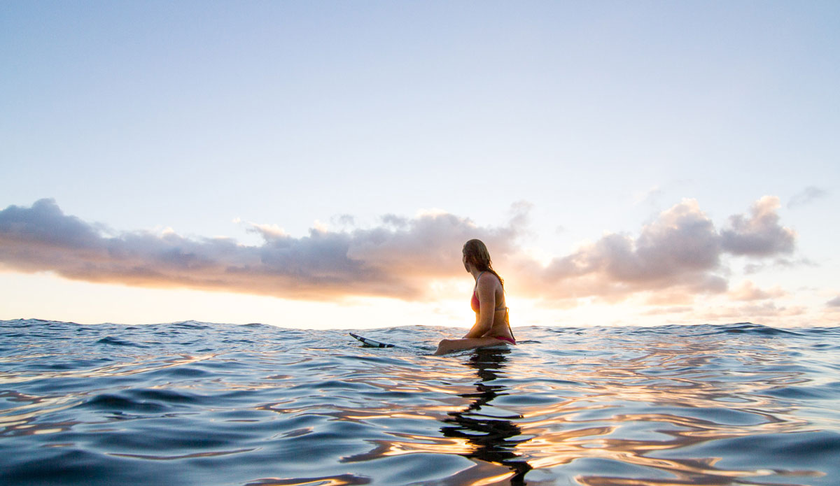 Photo: <a href=\"https://www.dougfalterphotography.com/\"> Doug Falter</a>