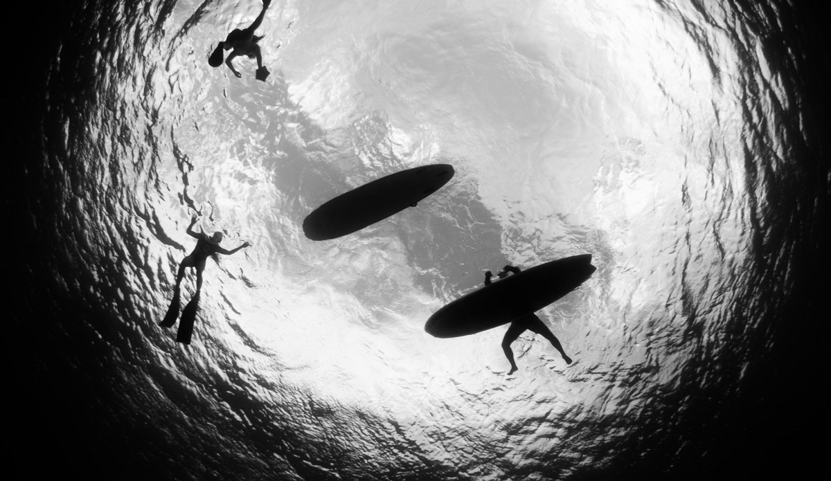 Photo: <a href=\"https://www.dougfalterphotography.com/\"> Doug Falter</a>