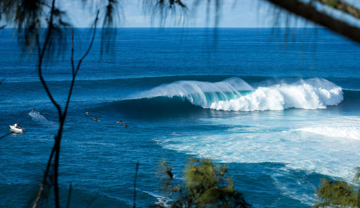 Captured this winter on November 11th 2014. This was a late afternoon session at Jaws this past winter. I arrived with my good friend Ben Wilkinson that day around 2pm, and didn\'t have a jet ski lined up yet. I did what I could from the cliff and found a nice little spot on the side of the trail that the surfers walked down to paddle out. I chose to shoot from here because the tree limbs gave the images a nice foreground. The next day I was lucky to get on a ski and shoot from the water! Photo: <a href=\"https://instagram.com/dougfalterphotography/\"> Doug Falter</a>