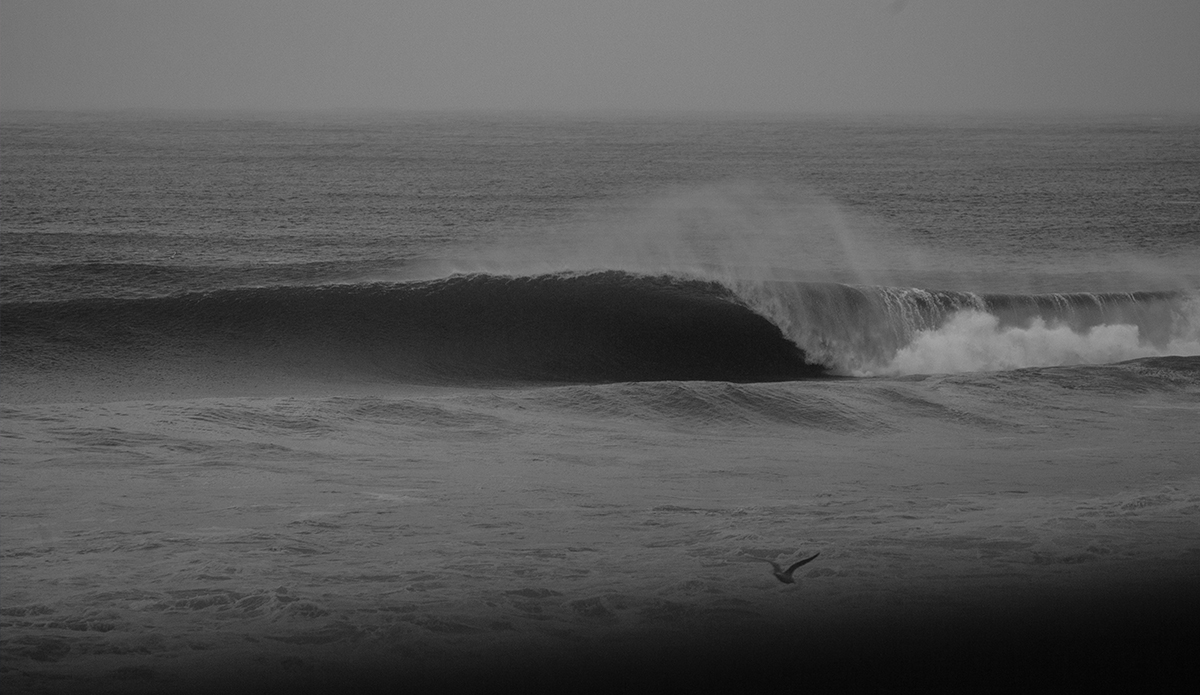 Photo: <a href=\"https://instagram.com/dylanchaplinphoto\"> Dylan Chapin</a>