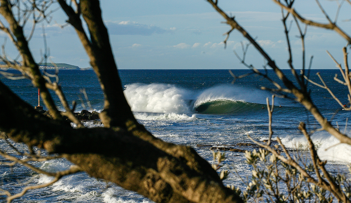 Photo: <a href=\"https://instagram.com/dylanchaplinphoto\"> Dylan Chapin</a>