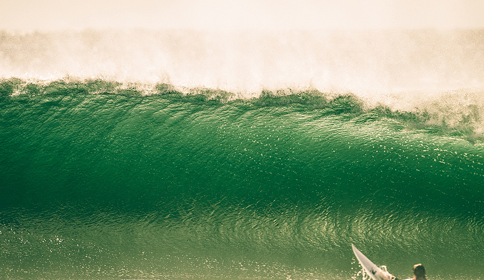 Green wall dreaming, Shellharbour. Photo: <a href=\"https://dylanrobinsonphoto.com/\" target=_blank>Dylan Robinson</a>