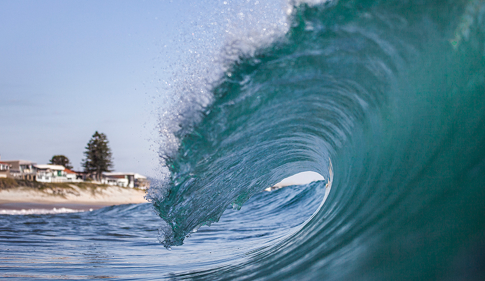 Blue curling, Warilla. Photo: <a href=\"https://dylanrobinsonphoto.com/\" target=_blank>Dylan Robinson</a>
