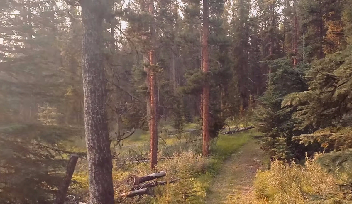 Photo: <a href=\"https://www.youtube.com/watch?v=VFYtQljVgRw\">WeWannaGo TV</a>