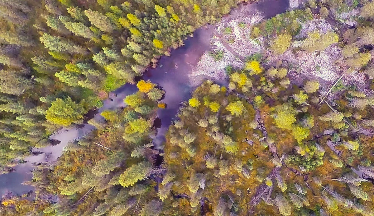 Photo: <a href=\"https://www.youtube.com/watch?v=VFYtQljVgRw\">WeWannaGo TV</a>