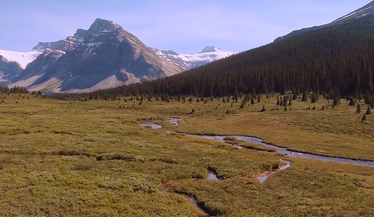 Photo: <a href=\"https://www.youtube.com/watch?v=VFYtQljVgRw\">WeWannaGo TV</a>