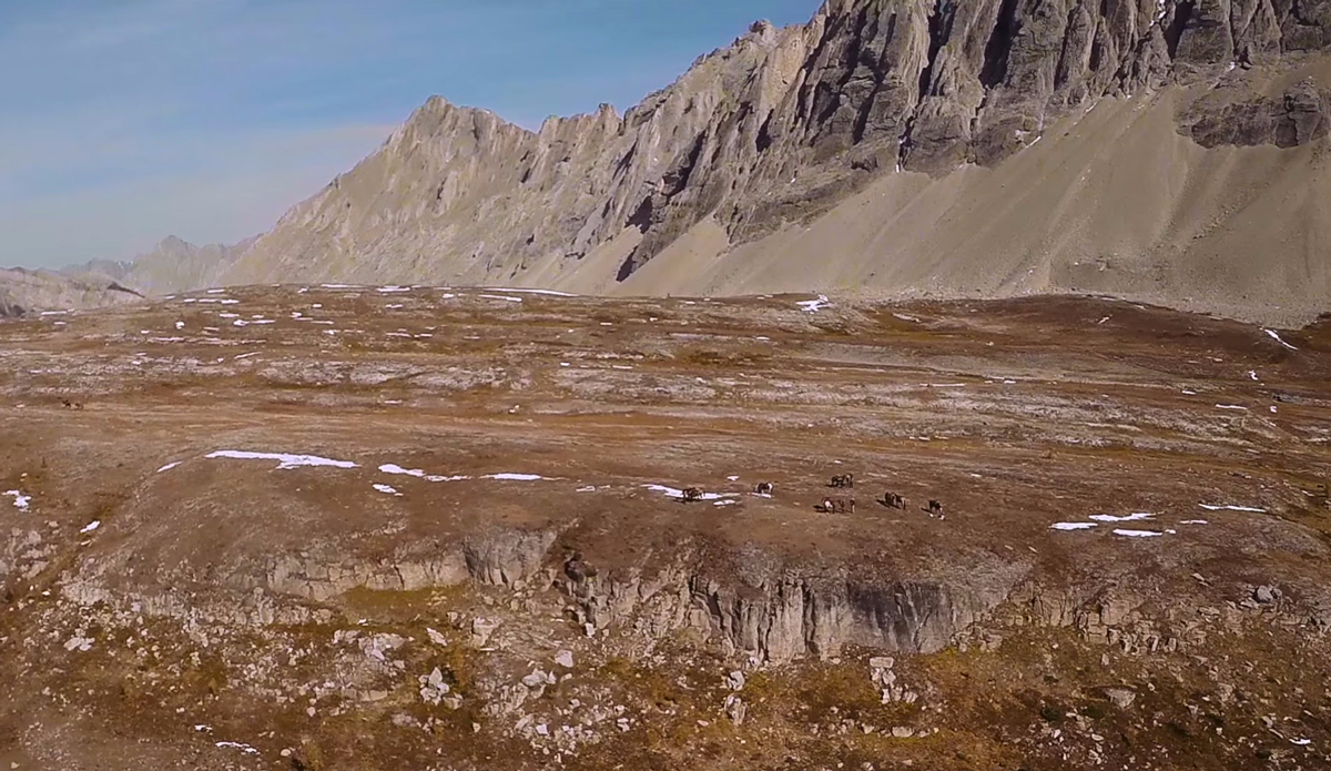 Photo: <a href=\"https://www.youtube.com/watch?v=VFYtQljVgRw\">WeWannaGo TV</a>