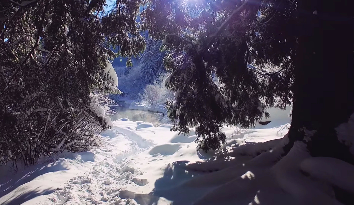 Photo: <a href=\"https://www.youtube.com/watch?v=VFYtQljVgRw\">WeWannaGo TV</a>