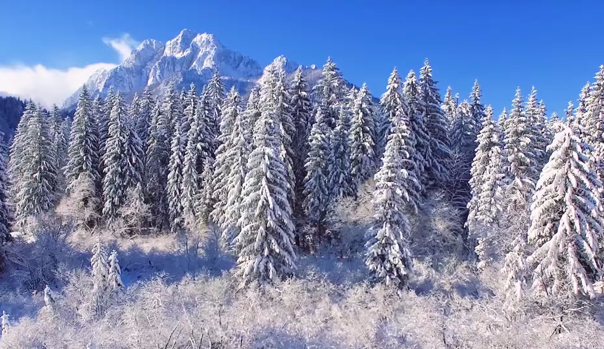 Photo: <a href=\"https://www.youtube.com/watch?v=VFYtQljVgRw\">WeWannaGo TV</a>