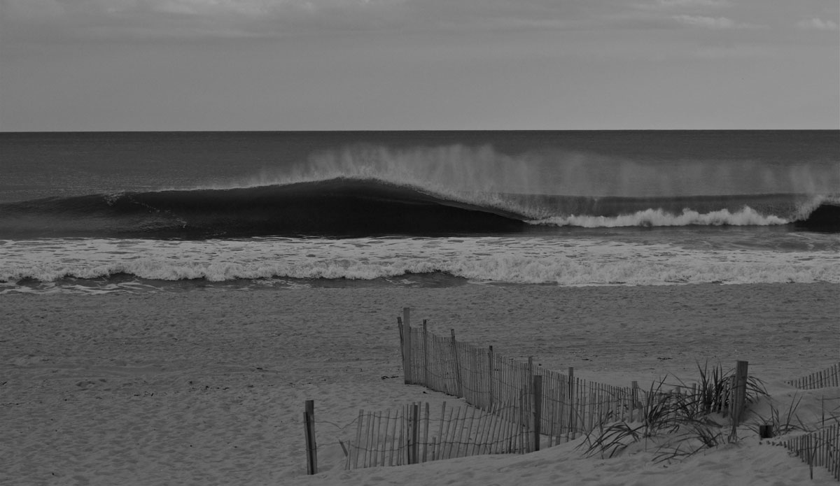 Photo: <a href=\"https://www.stevecolemanphoto.com/\"> Steve Coleman</a>