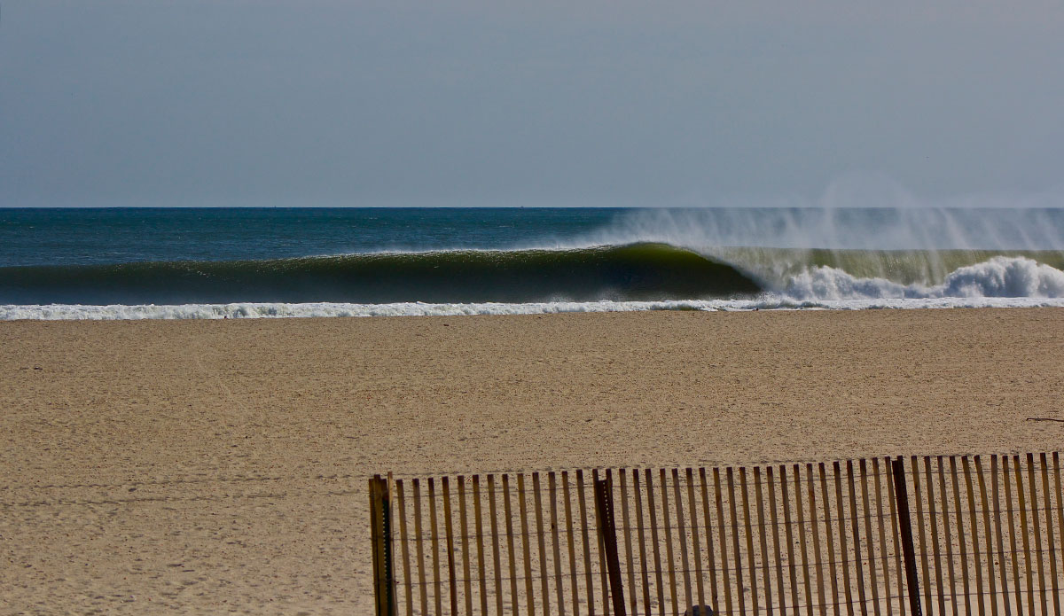 Photo: <a href=\"https://www.stevecolemanphoto.com/\"> Steve Coleman</a>