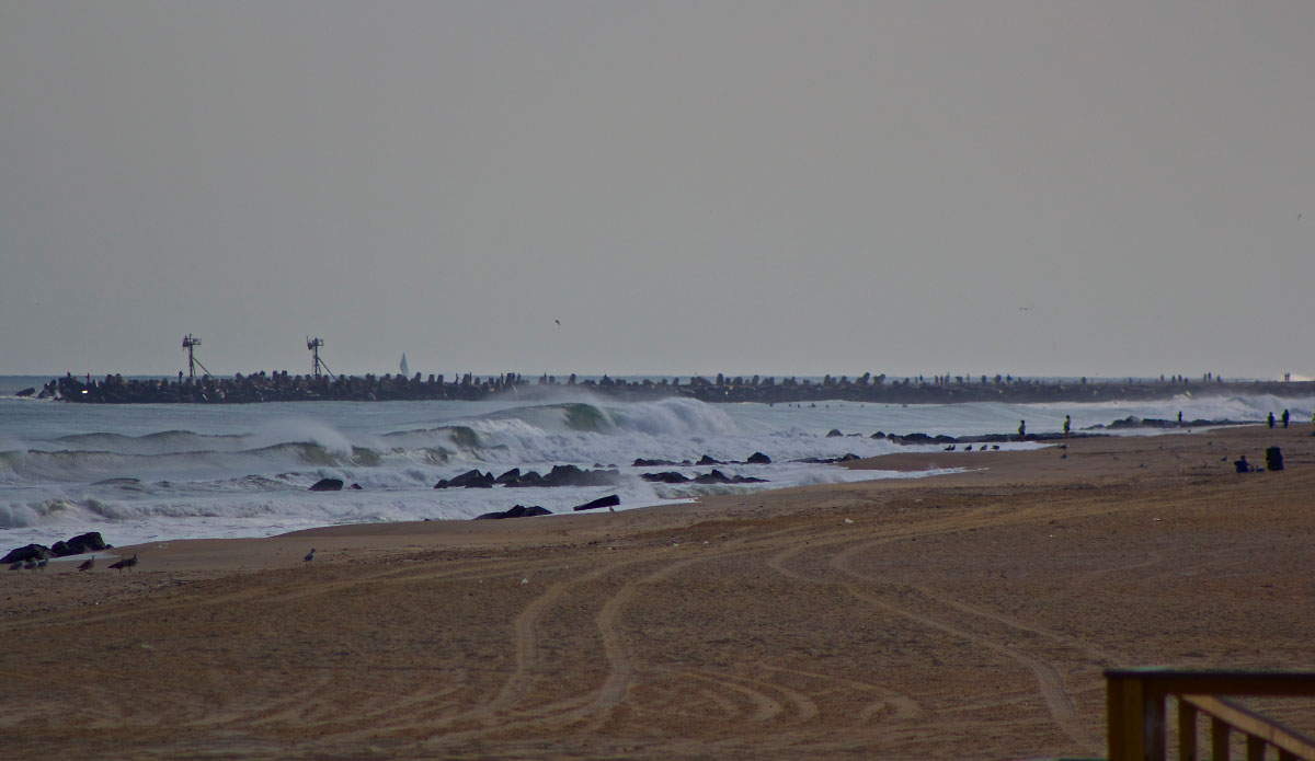 Photo: <a href=\"https://www.stevecolemanphoto.com/\"> Steve Coleman</a>