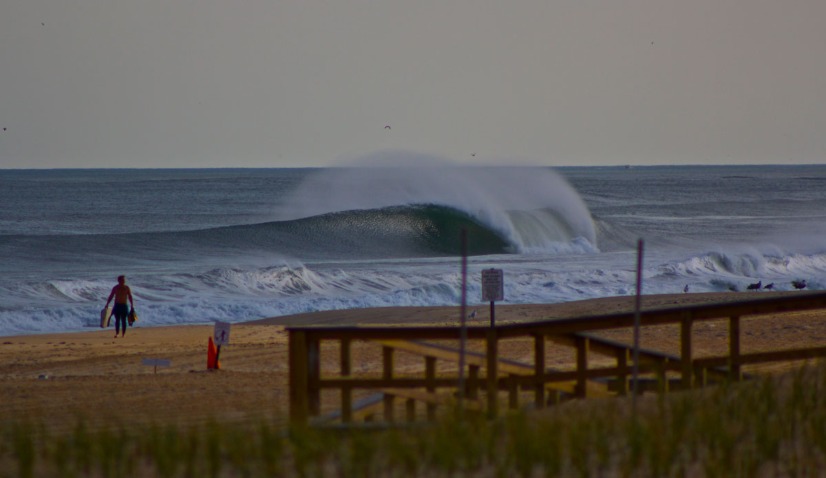 Photo: <a href=\"https://www.stevecolemanphoto.com/\"> Steve Coleman</a>