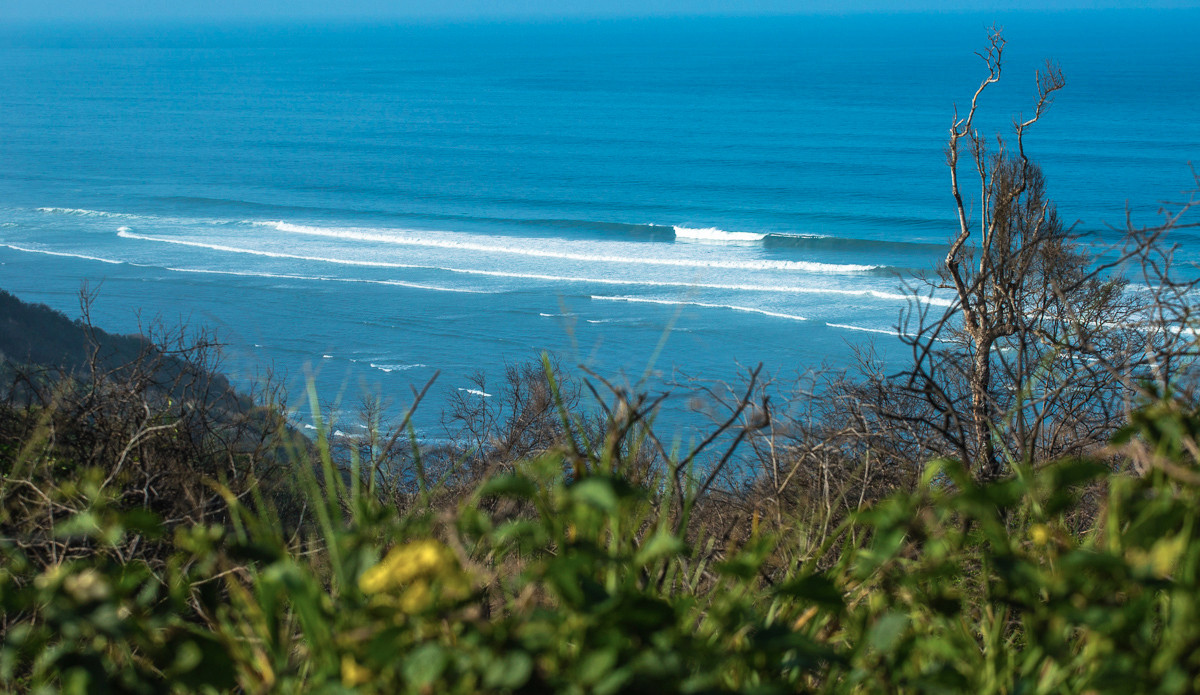 Getting from point A to point B can take a little longer than you think when every other visual from the roadside can appear like this.