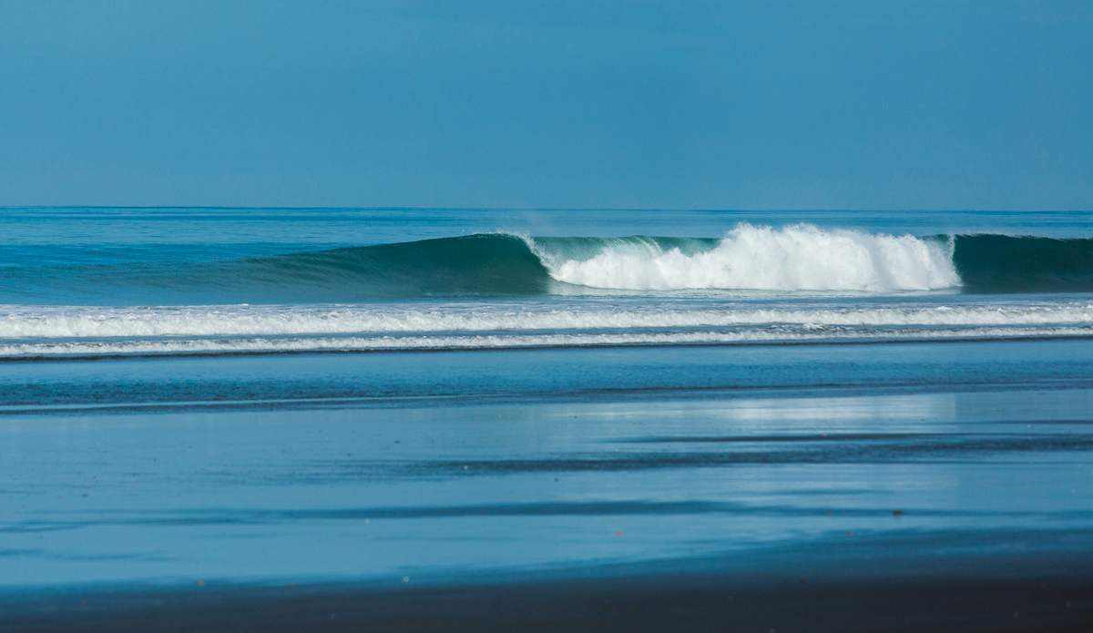  In season, this is what your average morning surf can look like if you have a proper sniff around.