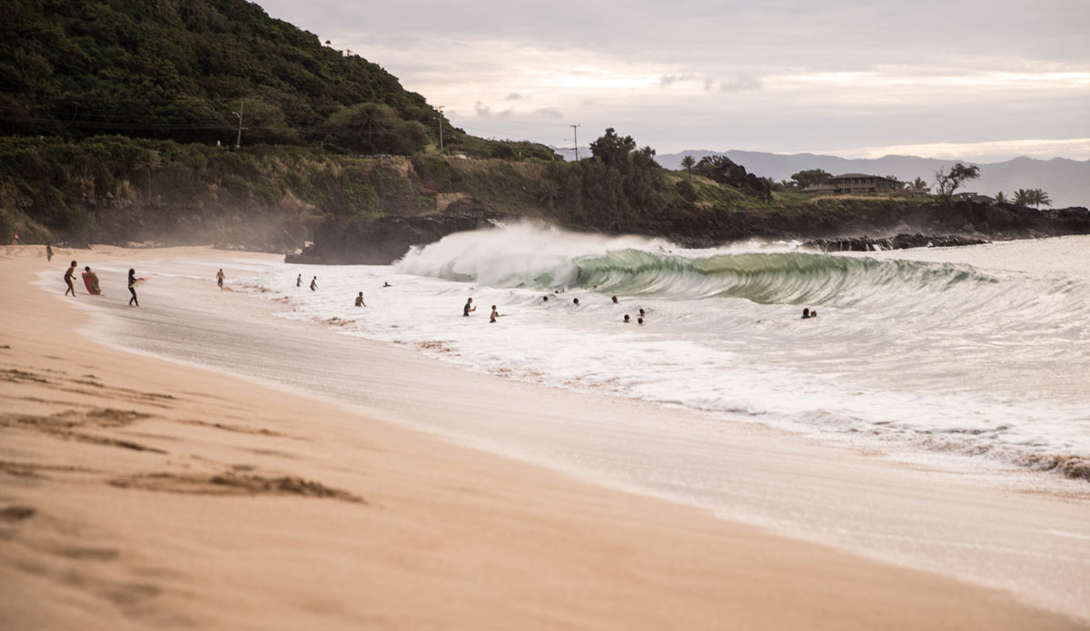 Clean. Photo: Jeremy Searle