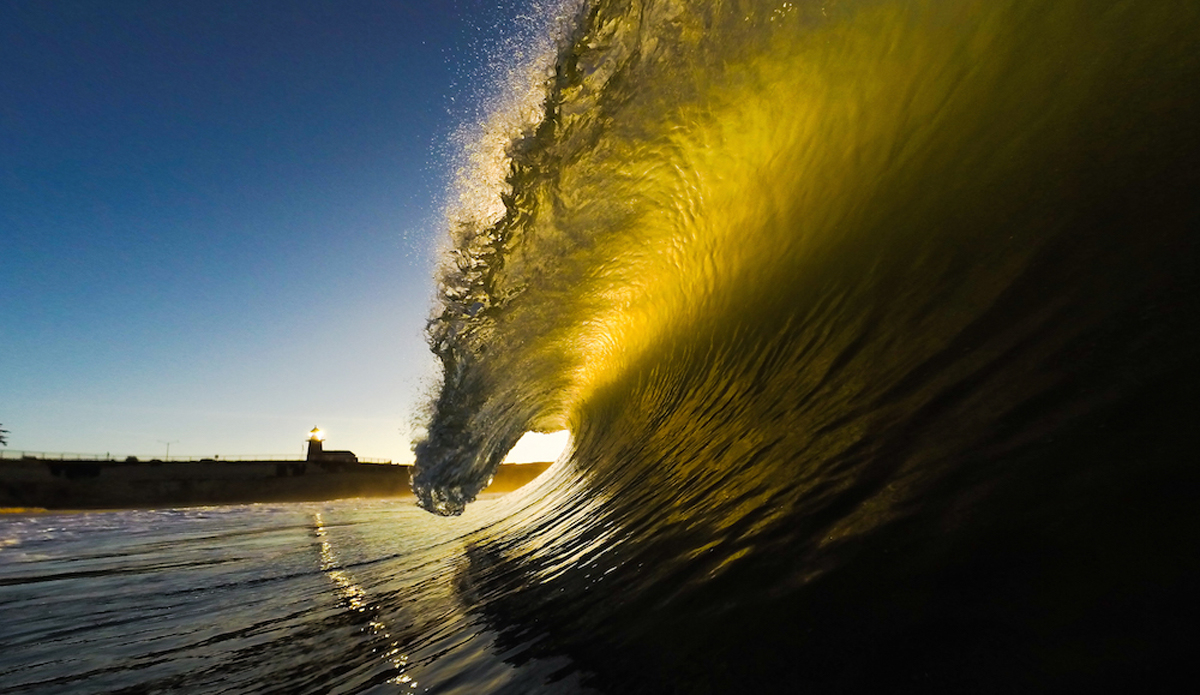 Morning glory somewhere in NorCal. Photo: <a href=\"https://www.facebook.com/oceanmindedarts\">Eduardo Palomino</a>