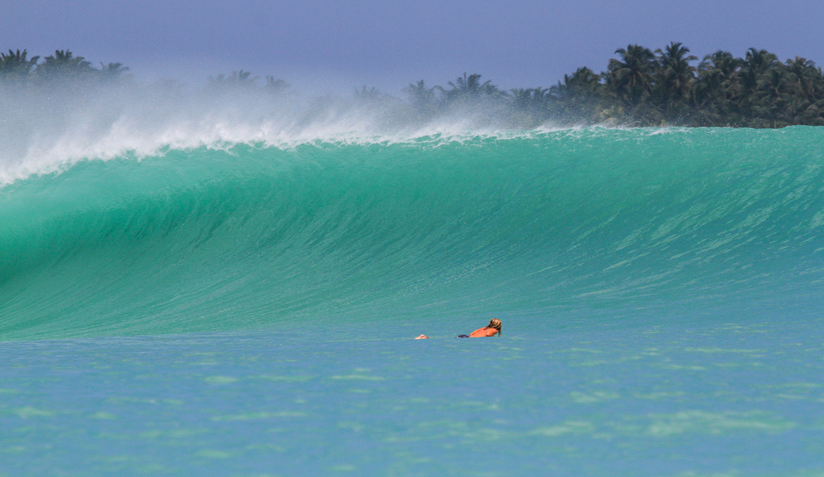 Ebay. Photo: <a href=\"https://instagram.com/edwartramirezphotography\">@edwartramirezphotography</a>