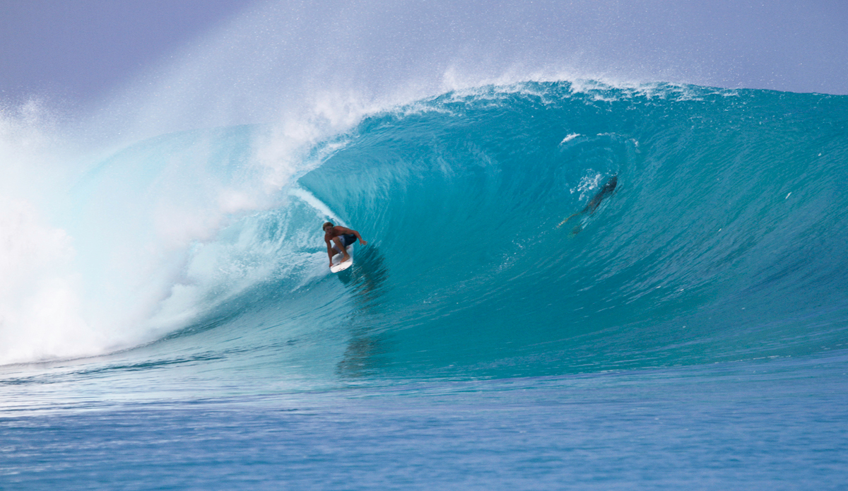 Photo: <a href=\"https://instagram.com/edwartramirezphotography\">@edwartramirezphotography</a>