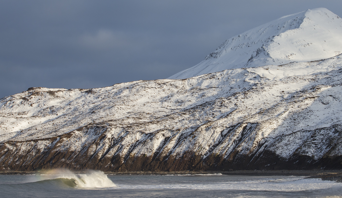 Photo: <a href=\"https://www.ellithor.com/\">Elli Magnusson</a>