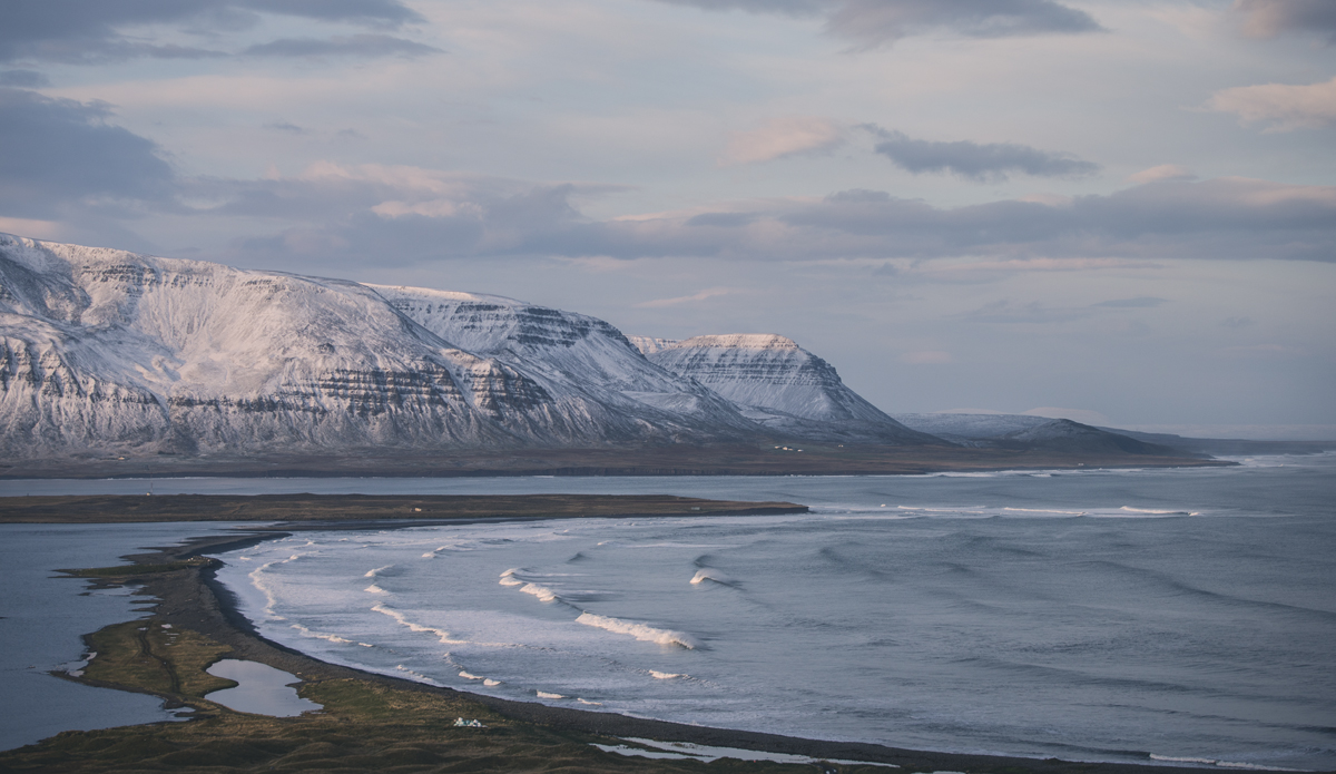 Photo: <a href=\"https://www.ellithor.com/\">Elli Magnusson</a>