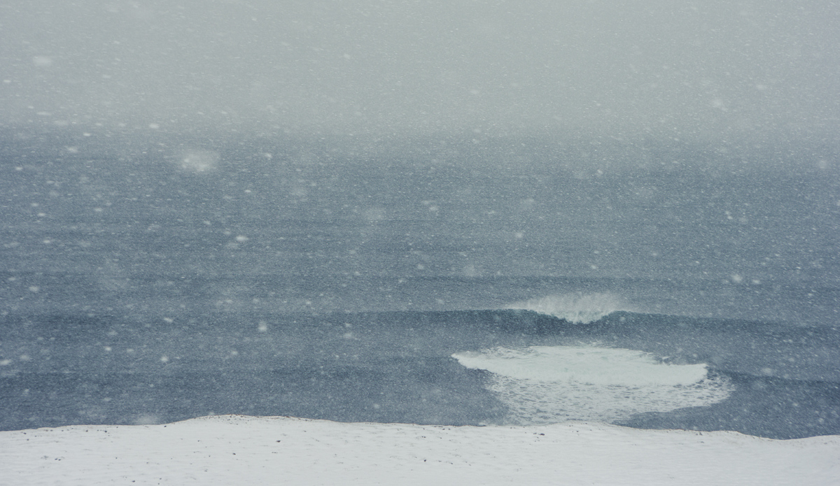 Photo: <a href=\"https://www.ellithor.com/\">Elli Magnusson</a>