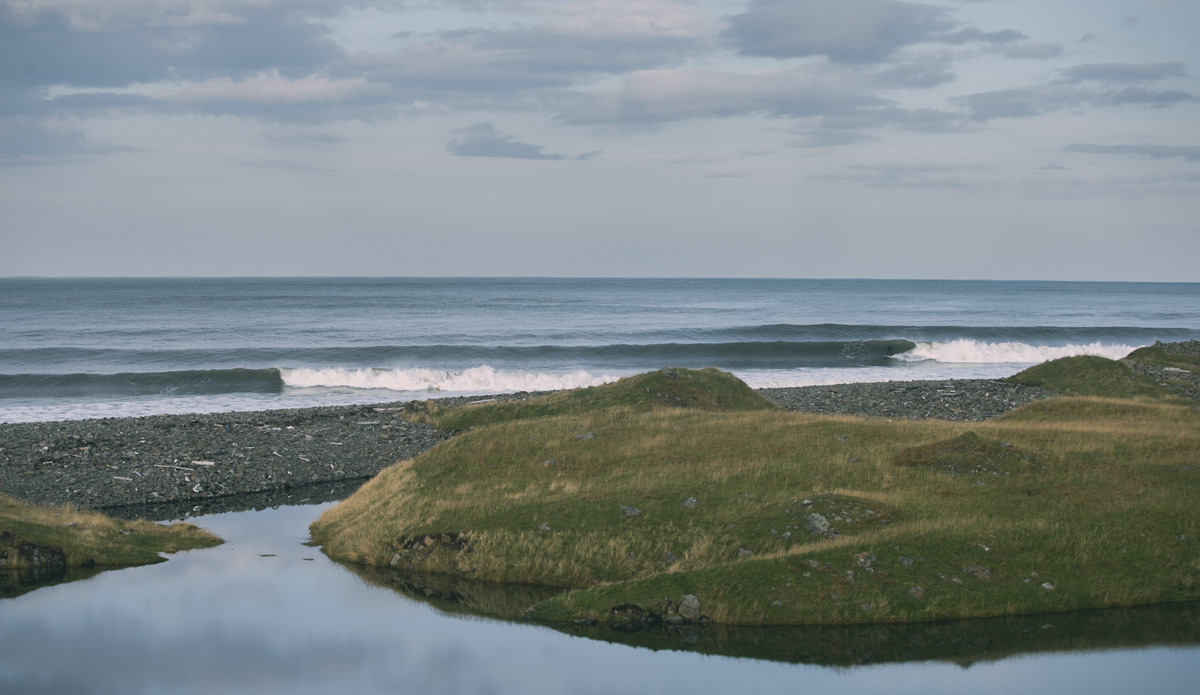 Photo: <a href=\"https://www.ellithor.com/\">Elli Magnusson</a>