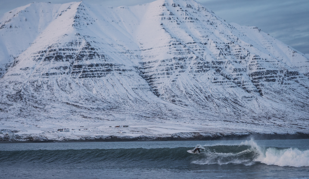 Photo: <a href=\"https://www.ellithor.com/\">Elli Magnusson</a>